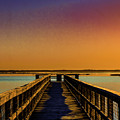 Walk the Dock